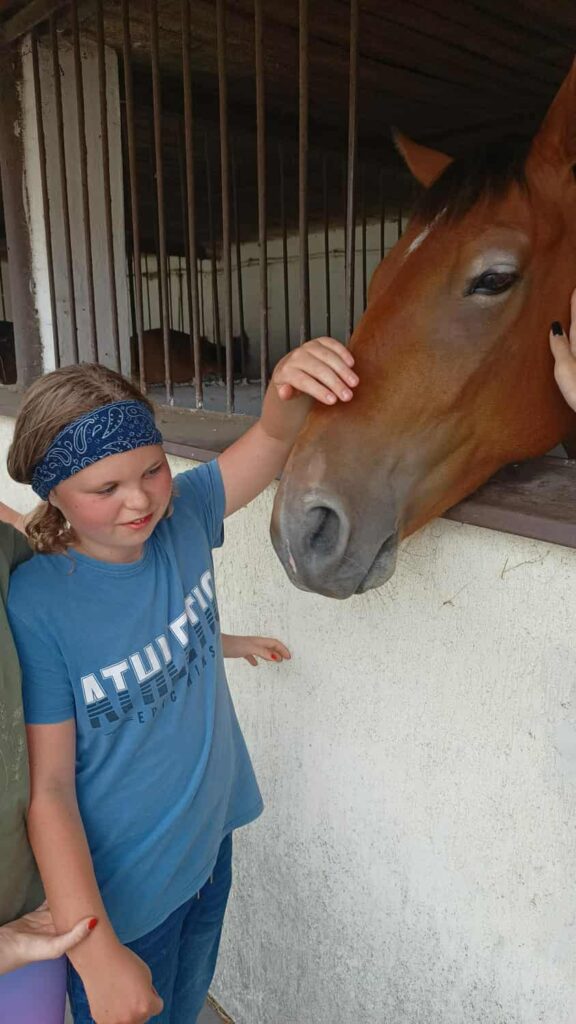 Młoda osoba w niebieskiej koszulce z napisem „AUTHENTIC” oraz opaską na głowie głaszcze brązowego konia, który wystawia łeb ze stajni przez metalowe kraty. Zwierzę wygląda na spokojne i zadowolone z kontaktu. Obok widoczna jest druga dłoń, należąca prawdopodobnie do innej osoby, również dotykająca konia. Tło stanowi biała ściana stajni, a cała scena emanuje ciepłem i delikatnością — to moment czułej więzi między człowiekiem a zwierzęciem.